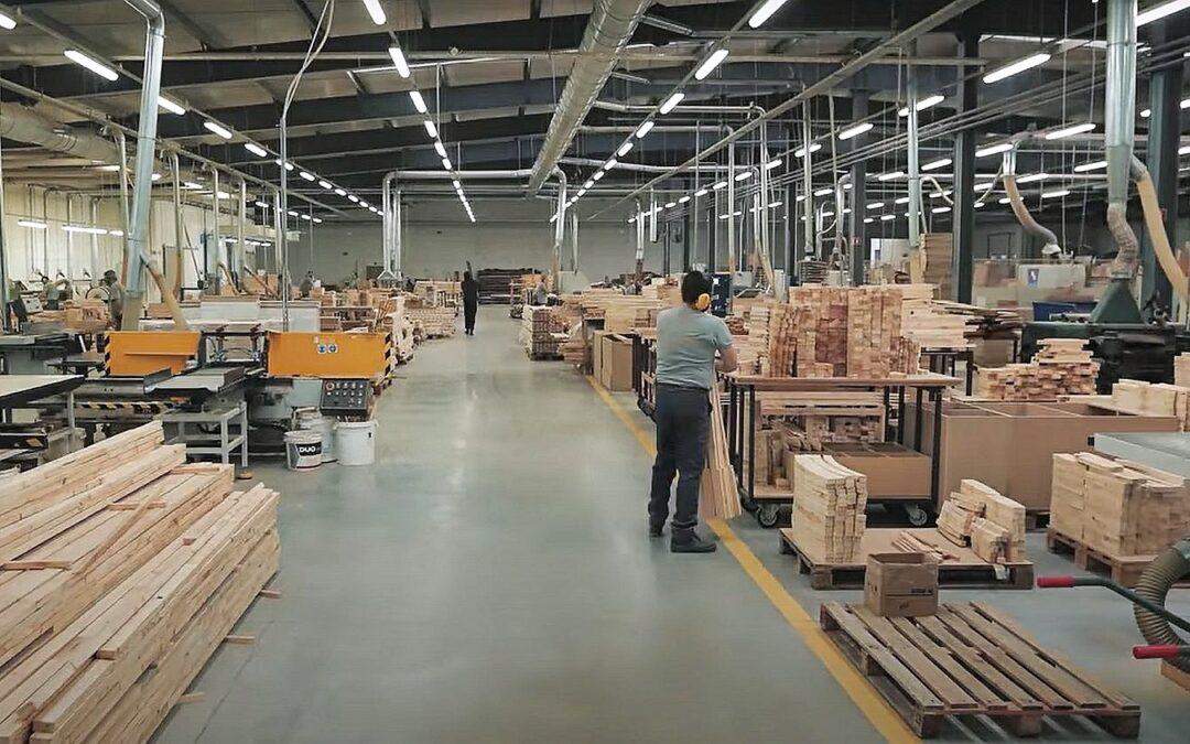 Eco-Friendly Interior Consulting: Harmonious Living Spaces